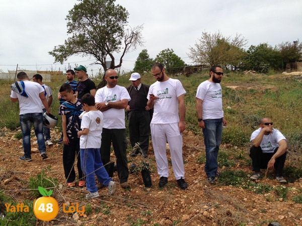 ludandyaffazaitoon (35).JPG